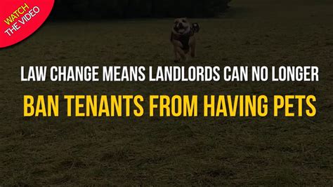 landlords can no longer ban pets ireland